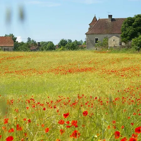 度假居 Quercy Stone Marcilhac-sur-Cele